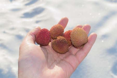 litchi in hand on the street fresh fruit in the bright sunの写真素材