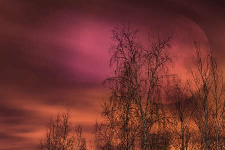 Big moon on a purple sky, a world of fantasy full moonの写真素材