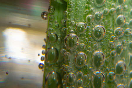 leeks closeup macro underwater bubbles health food