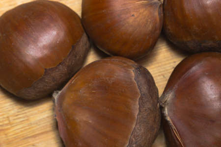 chestnut macro photoの写真素材