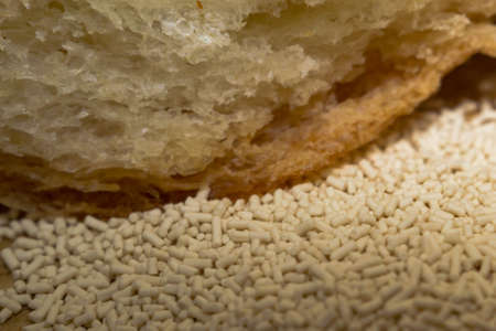 yeast and bread on the Board close-up macro photoの写真素材