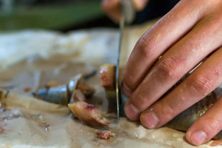 cutting fish with a knife the cooking of herring on Board male handsの写真素材