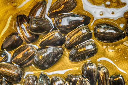 sunflower seeds macro in oil close-up healthの写真素材