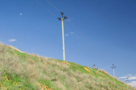 electric poles in summer