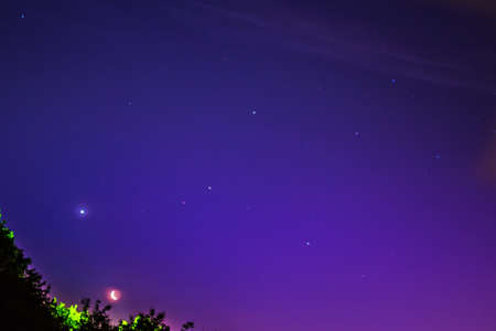 night landscape moon trees fairy tale nature rest tranquilityの写真素材