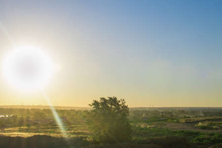 summer field landscape sun sunset evening summerの写真素材