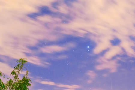 night sky and trees clouds stars night windの写真素材