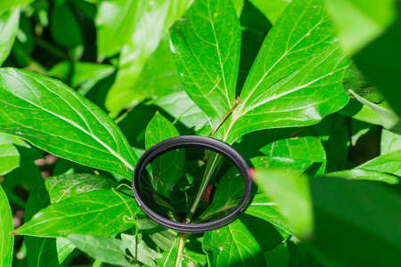 polarizing filter for camera looking at the sky