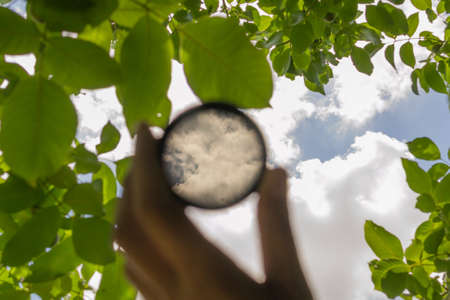 polarizing filter for camera looking at the skyの写真素材