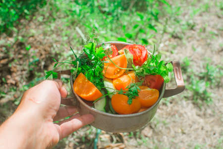 fresh tomatoes healthy food healthy food in natureの写真素材