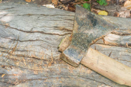 cutting wood with an axe wood extraction agriculture