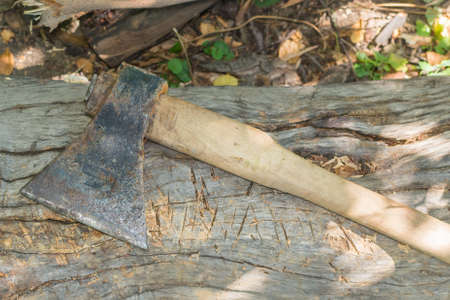 cutting wood with an axe wood extraction agriculture