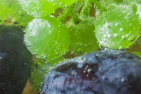 black grapes close up under water bubbles abstractionの写真素材