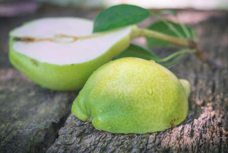 pears close-up photo close-up in the garden, agriculture, healthy foodの写真素材