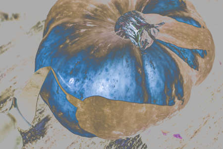 preparing pumpkins for Halloweenの写真素材