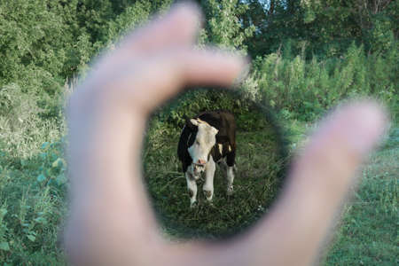 polarizing filter for the cameraの写真素材