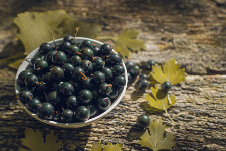 Blackcurrant on wooden backgroundの写真素材