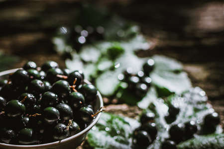 Cassis berry on wooden backgroundの写真素材