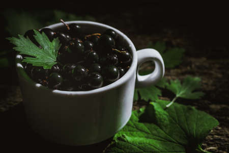 Mug of blackcurrantsの写真素材