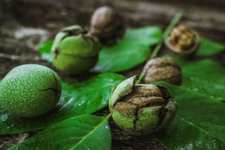 Ripe green walnuts organic food on wooden backgroundの写真素材