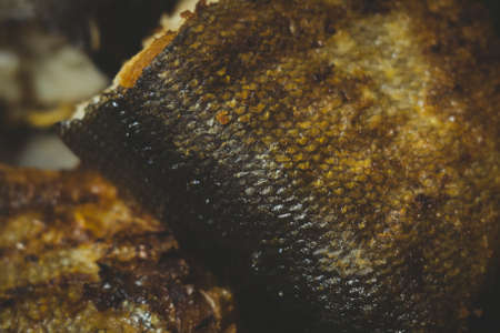 fried fish close-up pike pieces home home made food macro