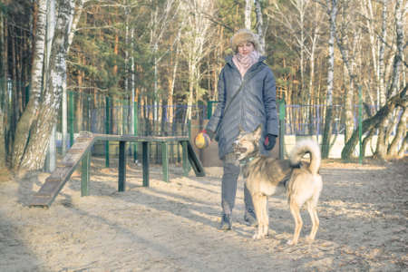 young girl playing with a dog on the training ground training pet