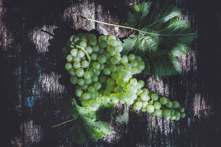 bunch of green grapes on wooden background Sultana variety harvest seasonの写真素材
