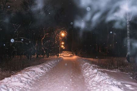 winter Park road night snowfall Park in the forest