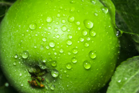 green Apple closeup drops freshness on tree in nature gardening organic foodの写真素材