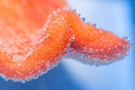 red capsicum close up in water macro bubblesの写真素材