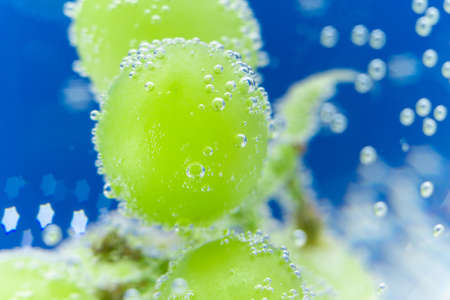 green grapes close-up ripe in the water