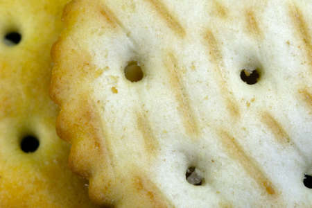 cookie cracker close up Dry thin macro photo