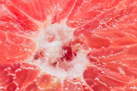 grapefruit in waterの写真素材