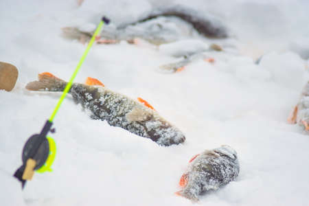 fish on winter fishing