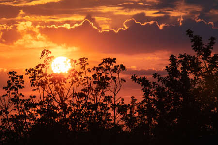 the setting sun and the sky on the background of trees. the sunset is a natural phenomenon of a bright red sunの写真素材