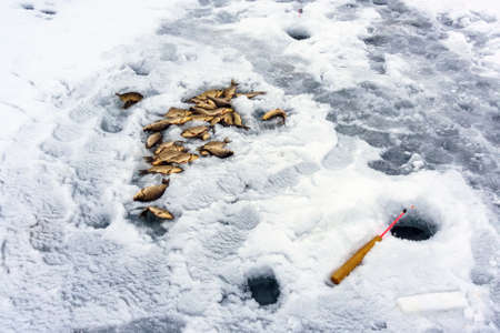 winter sport winter fishing catch carp fish on ice