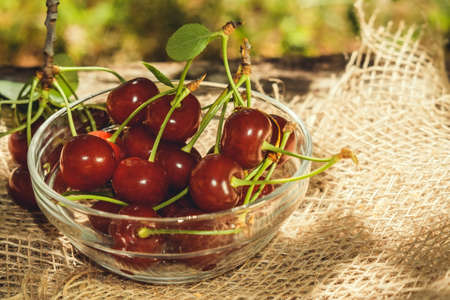 ripe juicy cherry in a bowl harvesting in the gardenの写真素材