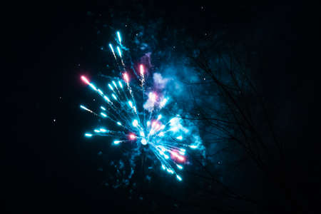 festive firework, fireworks in the night sky