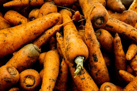 fresh carrots closeup background texture crop of carrotsの写真素材