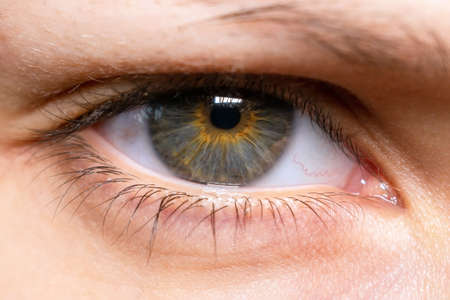 woman eye macro close up. A beautiful insightful look woman's eye. Close up photoの写真素材