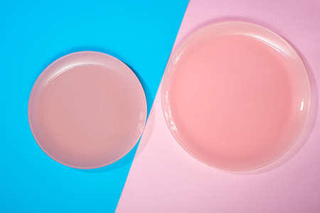 two pink plates on a pink and blue background top view Flat Lay. Breakfast for two, space for text, free space for copy spaceの写真素材