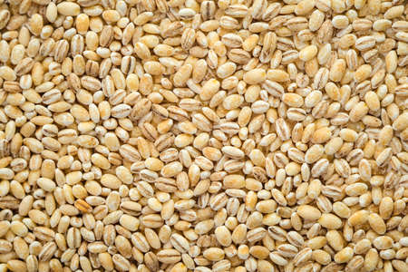 Barley grits for background and texture. Barley cereal. Top view.