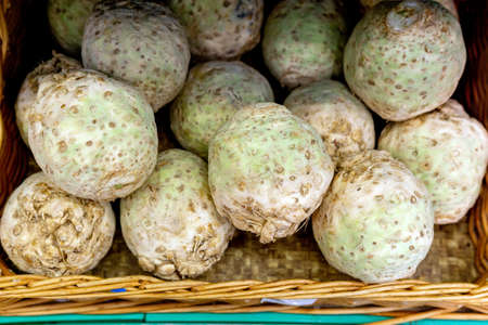 celery root on the shelves of the market. one of the most common dietary productsの写真素材