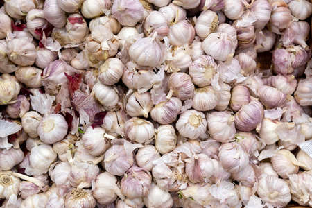 white garlic on shelf at supermarket. garlic in market.の写真素材