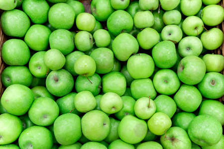 Green apples in the Market. Apples lie in boxes in front of the buyer. Healthy foodの写真素材