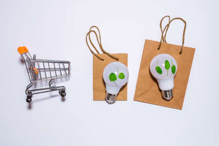 eco friendly efficient lightbulbs withcopyspace in an environmental concept. on white background