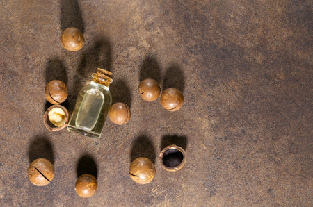 Ripe macadamia nuts and a glass bottle with natural oil Source of natural. Selective focus.の写真素材