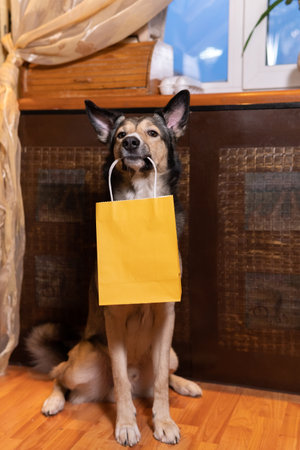 The dog holds the bag in his teeth. a trained pet. ready for a discount and sale in the shopping centerの写真素材