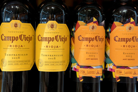 Tyumen, Russia-January 31, 2021: bottles of Campo Viejo Rioja red wine. variedad de uva Tempranillo...