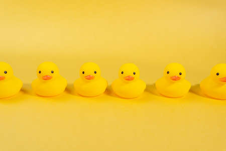 yellow rubber ducks on a yellow background. Minimal summer concept.の写真素材